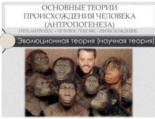 Презентация на тему этапы эволюции человека