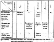 Какой органоид синтезирует углеводы