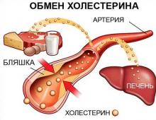Холестерин в крови: значение, анализ и отклонения от нормы, что делать при повышенном