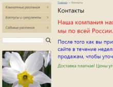 Что отпугивает потенциальных покупателей