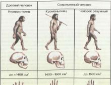 Лекция 